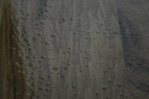 NWFA bubbles