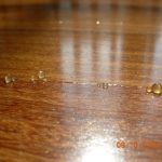 Polybeads 2