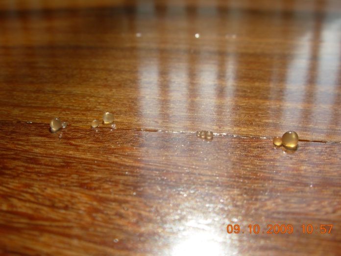 NWFA poly beads