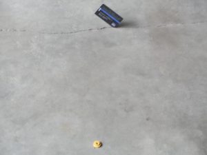 Ray prep 4