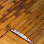 Moist, swollen and receding parquet