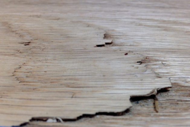 Define Splinter Wood Separations: Splits, Splinters & Shake - ProInstaller Magazine