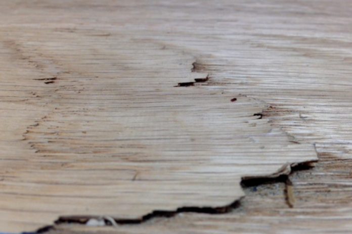 NWFA Wood Shake