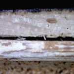 Delamination 2