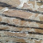 Finish Adhesion Failure – Peeling 2