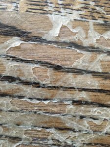 NWFA peeling 2