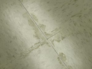Scheidker Flooring Failures 4