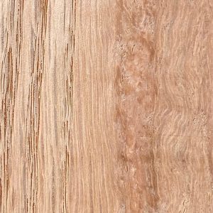 NWFA burl