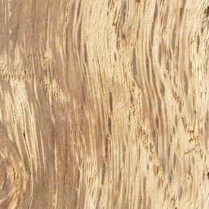 NWFA decay
