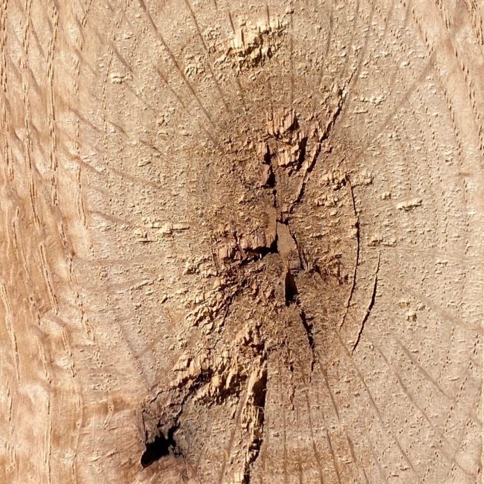 NWFA knot