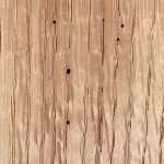 grading- worm holes