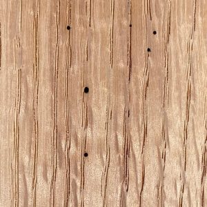 NWFA worm holes