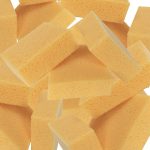 QEP Sponge Group Photo