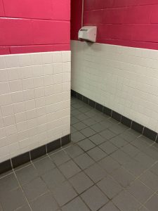 Stauf Pell HS 2 pic