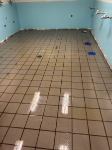 Stauf Pell HS 3