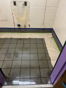 Stauf Pell HS 5